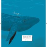 Ce que nous sommes de Zep (Rue de Sèvres)