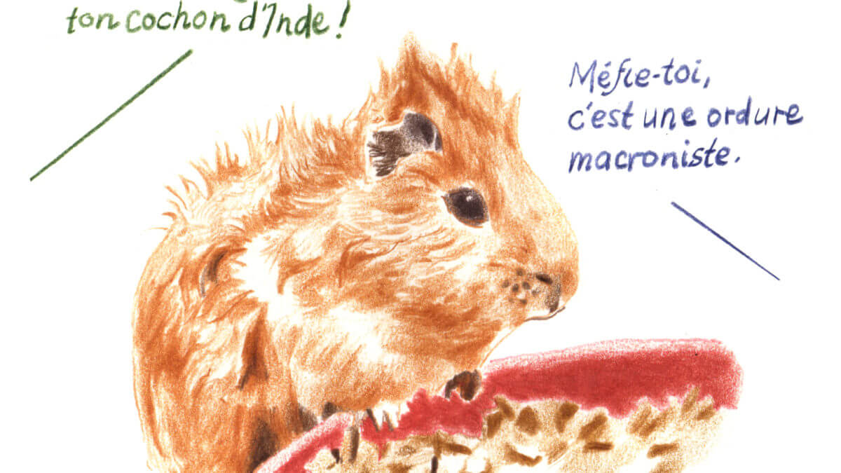 Koko n'aime pas le capitalisme et autres histoires de tienstiens (Bandes détournées)