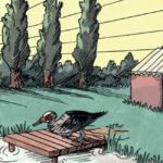 Merel de Clara Lodewick (Dupuis / Les ondes Marcinelle)