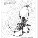 Perpendiculaire au soleil de Valentine Cune-Le Callet (Delcourt)