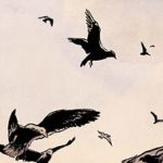 Thorgal - Adieu Aaricia - (Le Lombard) de Recht, est le premier one shot de haute volée qui fait débuter le label Thorgal Saga sous les meilleurs auspices. Décrypté par Comixtrip, le site BD de référence.