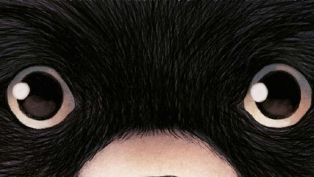 Le Roi ensommeillé de Myriam Dahman et Clément Lefèbre chez Oxymore Métamorphose