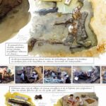 Les dinosaures du paradis de Mazan (éditions Futuropolis)