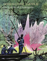 Le lierre et l'araignée de Grégoire Carlé (éditions Dupuis / Aire Libre)