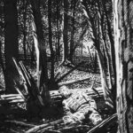 Le combat d’Henry Fleming de Steve Cuzor (éditions Dupuis / Aire Libre)