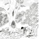 La Forêt magique de Hoshigahara de Hisae Iwaoka (© IWAOKA Hisae 2009 / Asahi Shimbun Publications Inc. / Le renard doré / Rue de Sèvres)