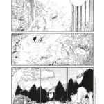 La Forêt magique de Hoshigahara de Hisae Iwaoka (© IWAOKA Hisae 2009 / Asahi Shimbun Publications Inc. / Le renard doré / Rue de Sèvres)