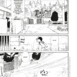 La Forêt magique de Hoshigahara de Hisae Iwaoka (© IWAOKA Hisae 2009 / Asahi Shimbun Publications Inc. / Le renard doré / Rue de Sèvres)