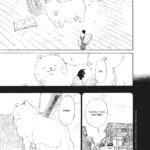 La Forêt magique de Hoshigahara de Hisae Iwaoka (© IWAOKA Hisae 2009 / Asahi Shimbun Publications Inc. / Le renard doré / Rue de Sèvres)