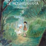 La Forêt magique de Hoshigahara de Hisae Iwaoka (© IWAOKA Hisae 2009 / Asahi Shimbun Publications Inc. / Le renard doré / Rue de Sèvres)