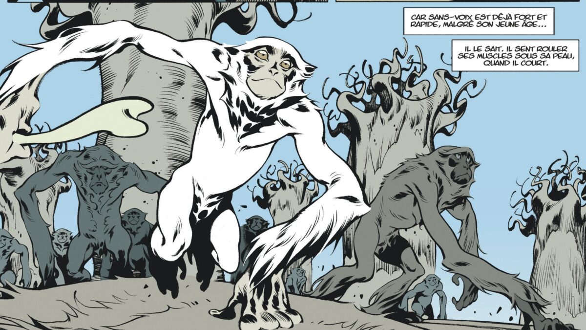 Le dieu-fauve de Fabien Vehlmann et Roger (éditions Dargaud)