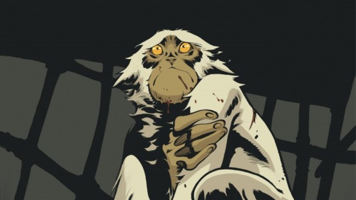 Le dieu-fauve de Fabien Vehlmann et Roger (éditions Dargaud)