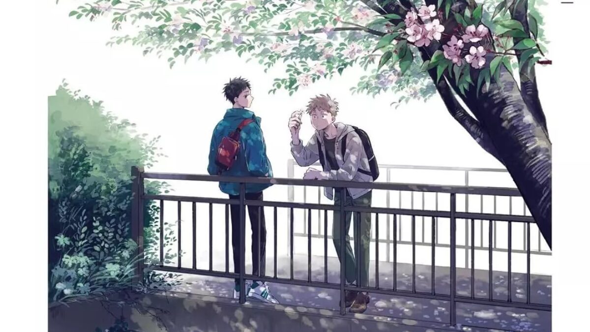 Vi d'ensemble de Fumiya Hayashi (éditions Naban)