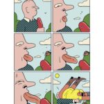 Fool Contact Simon Landrein Banzaï Editions