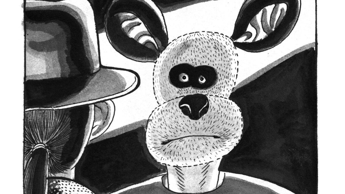 David en furie de Newliu (éditions Misma)