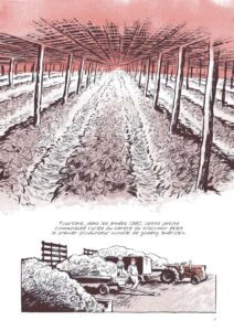 Ginseng Roots de Craig Thompson (éditions Casterman)