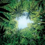 Sa Majesté des mouches - Aimée De Jongh - William Golding - Dargaud