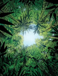 Sa Majesté des mouches - Aimée De Jongh - William Golding - Dargaud