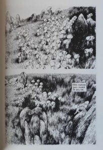 Les Julys de Nylso (éditions Misma)