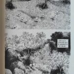 Les Julys de Nylso (éditions Misma)