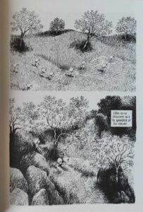 Les Julys de Nylso (éditions Misma)