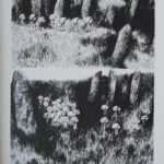 Les Julys de Nylso (éditions Misma)