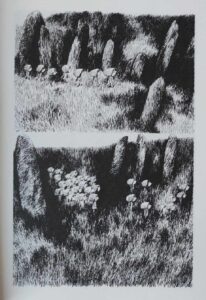 Les Julys de Nylso (éditions Misma)