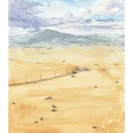 Dirty Rose de Marzena Sowa et Benoît Blary (éditions Delcourt)