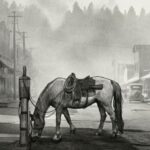 Revoir Comanche de Romain Renard (éditions Le Lombard)