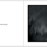 Les Mystères de Bill Watterson et John Kasht (éditions Hors Collection)