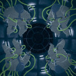 L'Héritage fossile de Philippe Valette (Delcourt)