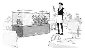 Will McPhail New Yorker 2021