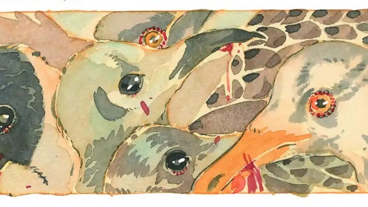 Anzuelo d’Emma Ríos (404 Graphic)