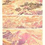 Anzuelo d’Emma Ríos (404 Graphic)