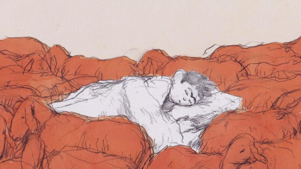 Les moutons veulent du sel de Emanuele Cantaro (éditions çà et là)