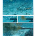 Les poissons eux ne pleurent pas de Laurent Galandon et Jean-Denis Pendanx (éditions Daniel Maghen)