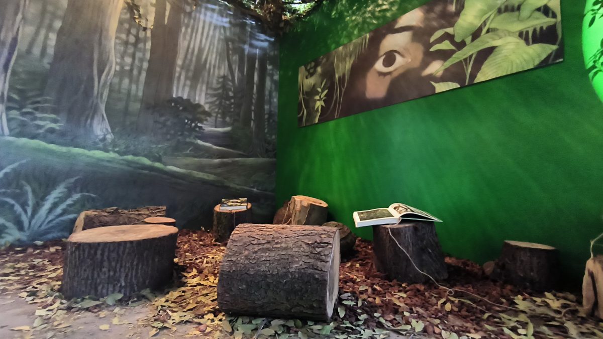 Exposition Verts RDV BD Amiens_ salle nature 2