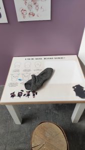 Exposition Abracada_Brume - RDVBD Amiens 2025 - crédit Claire Karius