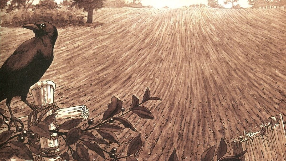 Les carnets de Stamford hawksmoor de Bryan Talbot (Delirium)