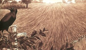 Les carnets de Stamford hawksmoor de Bryan Talbot (Delirium)