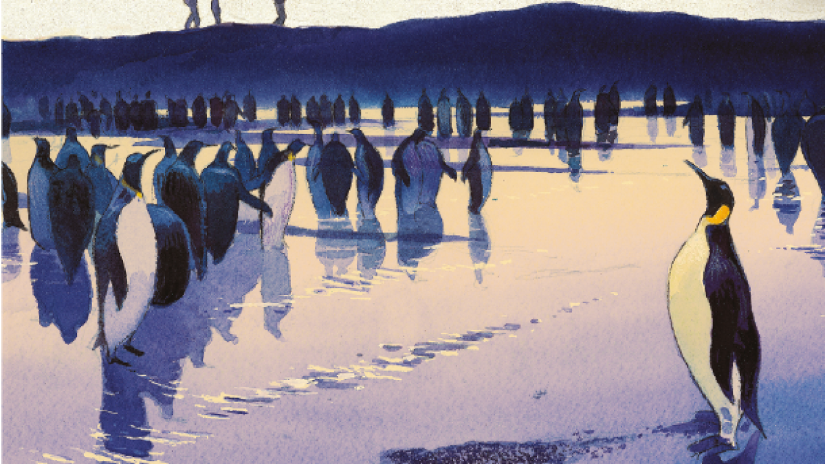 Bannière Comixtrip Danser avec le vent Futuropolis