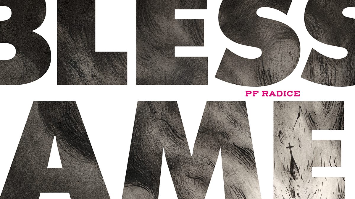 God bless America de Perre-François Radice d'après Richard Morgiève(éditions Sarbacane