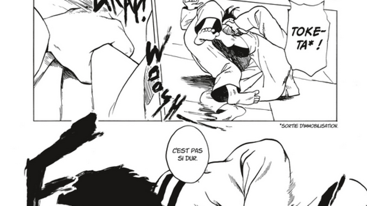 Ceinture noire Montes Dupuis Vega