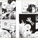Héritière du dragon Ishii Glénat