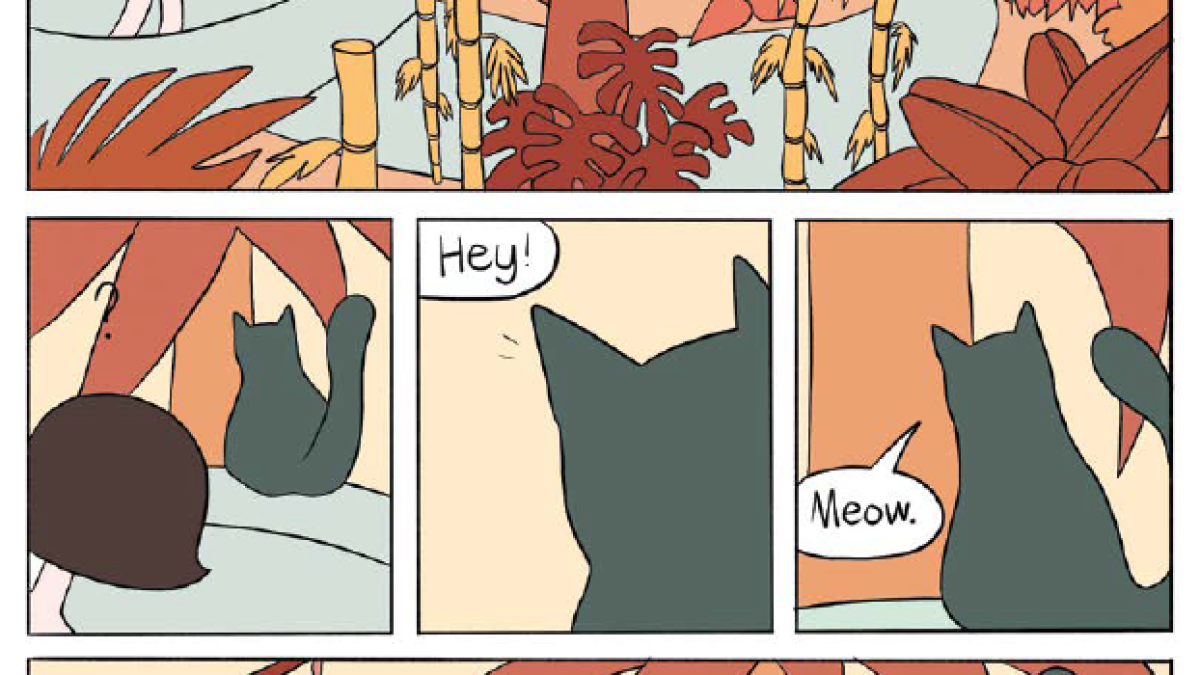 Spa Neel Ville brule