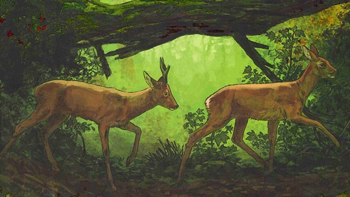 L'homme-chevreuil, Sept ans de vie sauvage de Jean-Denis Pendanx et Vincent Zabus d'après le livre de Geoffroy Delorme (éditions Les arènes BD)