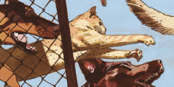 la fourrière des animaux bannière comixtrip.fr