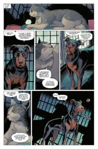 La fourrière des animaux page 13