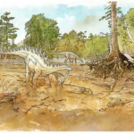Sur les traces des dinosaures, exposition au muséum d'histoire naturelle de Paris -dessins de Mazan - les dinos d'Angeac