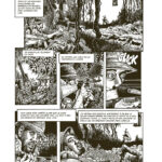 Vietnam journal tome 8 page 110